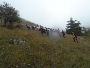3. Только вперёд