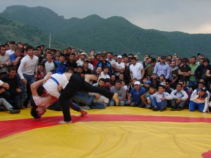 DSC08862